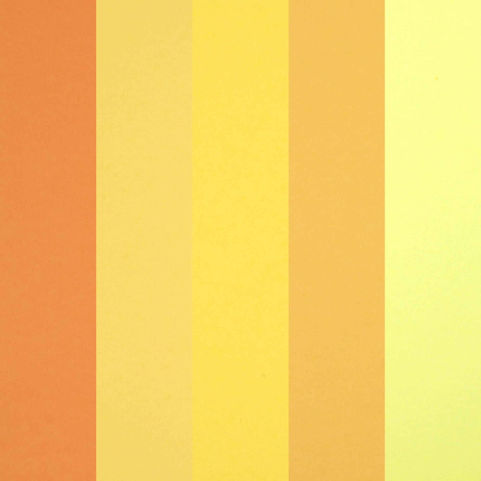 12 Packs: 50 ct. (600 total) Citrus 8.5" x 11" Cardstock Paper by Recollections™